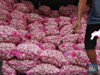 Kantor Tito Warning Keras Kemendag, Tunjuk Modus Importir Bawang Putih