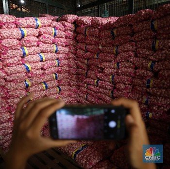 Kramat Jati Kebanjiran Impor Bawang Putih Saat Harga Masih Tinggi