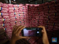 Kramat Jati Kebanjiran Impor Bawang Putih Saat Harga Masih Tinggi