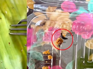 Jorok! Daun Pisang Berjamur Dipakai untuk Bungkus Ketan
