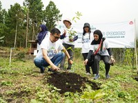 ABC Indonesia Lanjutkan Program Penanaman 1.000 Pohon di Jawa Timur