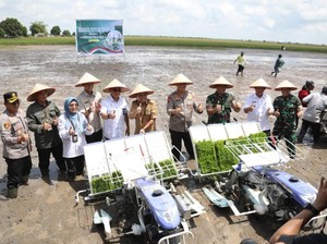 Gerakan Tanam Padi di Kalteng untuk Ketahanan Pangan Nasional