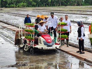 Gubernur Luthfi Ungkap Produksi Padi Jateng Hari Ini Tembus 4,9 Juta Ton