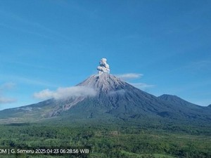 Gunung Semeru Erupsi Pagi Ini, Semburan Abu Vulkanik Capai 900 Meter