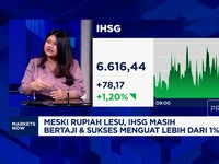 Video: Jelang Pengumuman BI Rate, IHSG Naik 1% Lebih