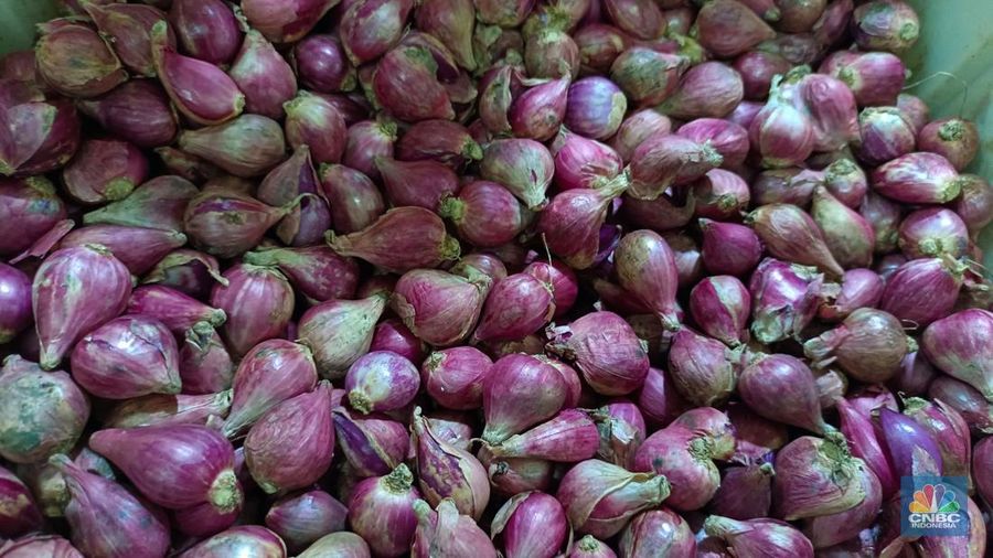 Pantauan harga bawang di Pasar Rumput, Jakarta Selatan, Rabu (23/4/2025). (CNBC Indonesia/Martyasari Rizky)
