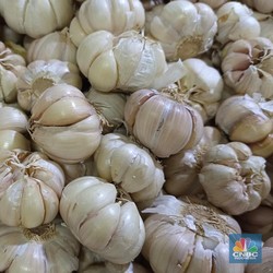 9 Obat Herbal Alami Ampuh Turunkan Tekanan Darah Tinggi