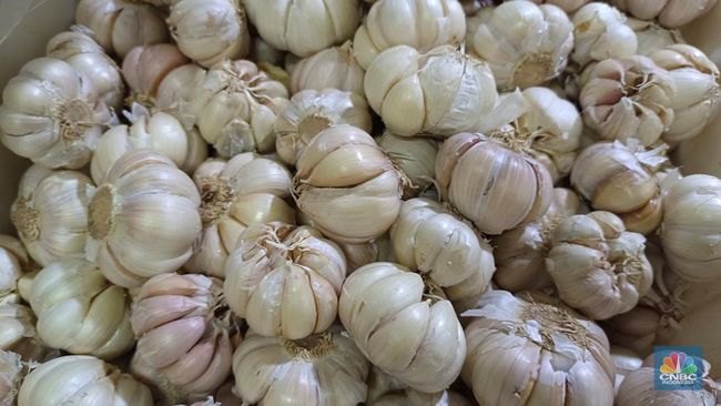 9 Obat Herbal Alami Ampuh Turunkan Tekanan Darah Tinggi