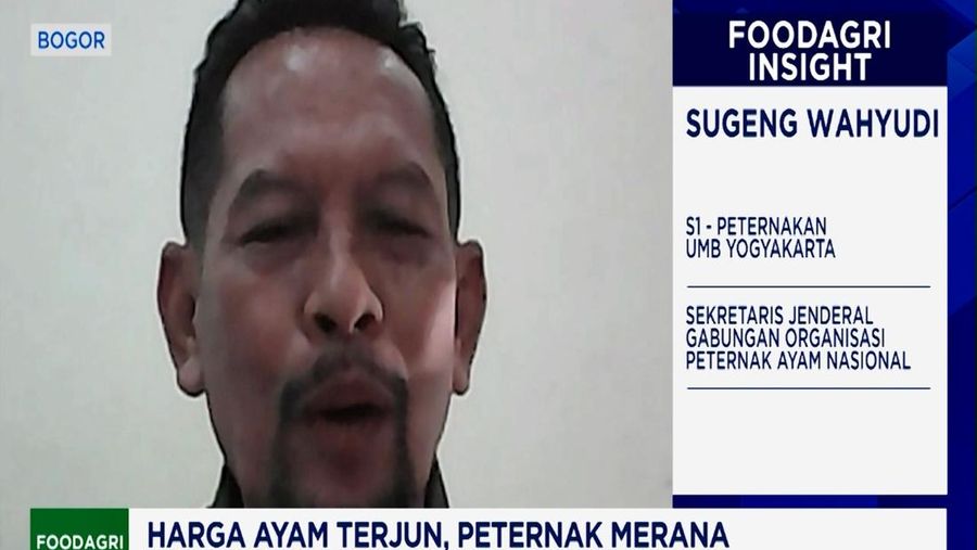 Sekjen Gabungan Organisasi Peternak Ayam Nasional, Sugeng Wahyudi. (CNBC Indonesia)