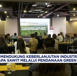 Video: UOB Dukung Keberlanjutan Industri Sawit Melalui Green Financing