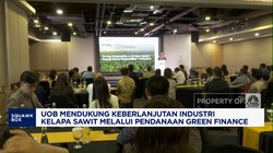Video: UOB Dukung Keberlanjutan Industri Sawit Melalui Green Financing
