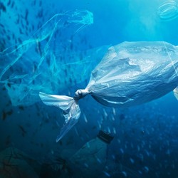 10 Jenis Sampah Plastik yang Paling Lama Terurai, Butuh 6 Abad