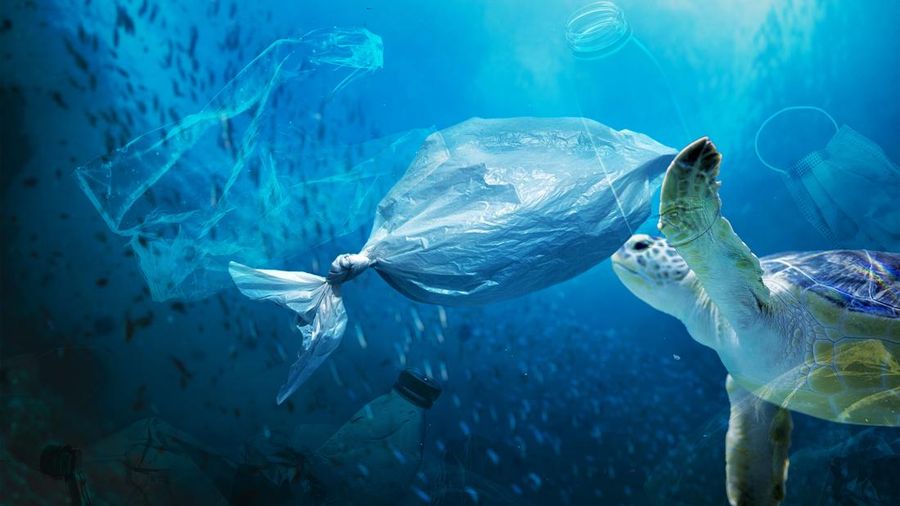 10 Jenis Sampah Plastik yang Paling Lama Terurai, Butuh 6 Abad