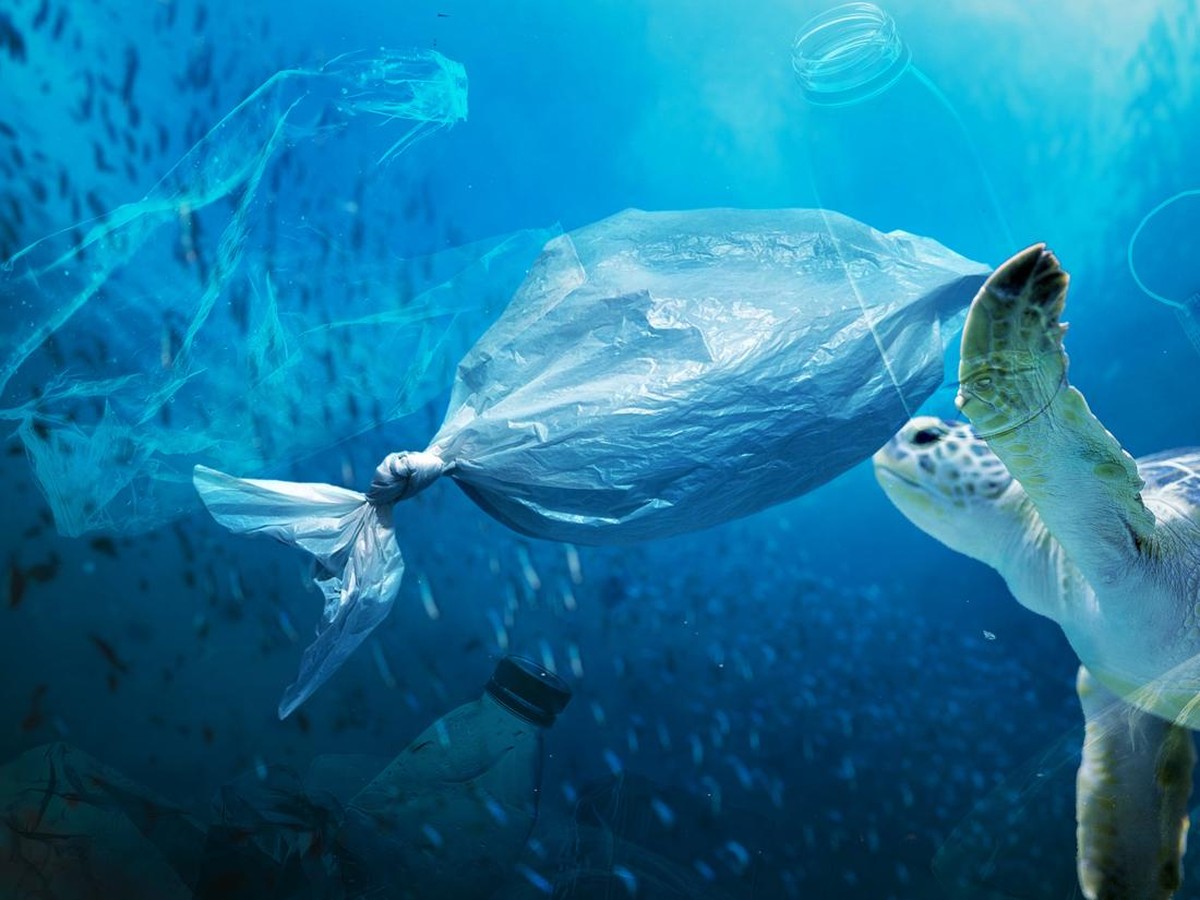 Penelitian Temukan Mikroplastik Bisa Menyebabkan Perubahan Otak dan Perilaku pada Tikus