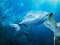 10 Jenis Sampah Plastik yang Paling Lama Terurai, Butuh 6 Abad
