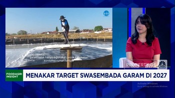 Video: Belajar Dari Australia, Ini Cara Bikin Produksi Garam RI Naik