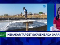 Video: Belajar Dari Australia, Ini Cara Bikin Produksi Garam RI Naik