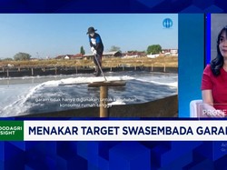 Video: Belajar Dari Australia, Ini Cara Bikin Produksi Garam RI Naik