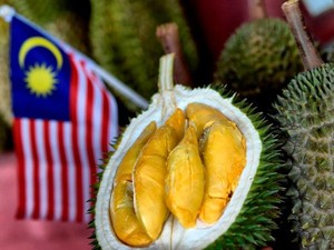 Durian Jatuh Pohon Asal Malaysia Semakin Populer di China