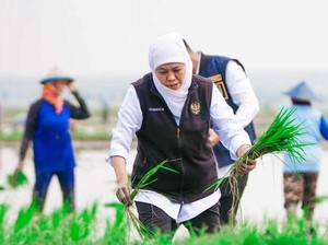 Jatim Cetak Rekor, Sumbang 25% Luas Tanam Padi Nasional di April 2025