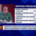Video: Harga Terbang Tinggi, Emiten Emas Bergelimang Cuan