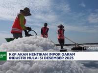 Video:Demi Swasembada di 2027, Impor Garam Industri Disetop Akhir 2025
