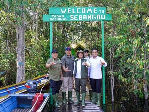 Menhut Sebut Keberadaan Gambut di Sebangau Penting bagi Iklim Global