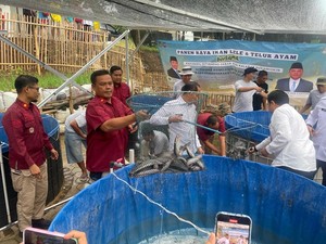 1 Ton Ikan Lele Dipanen dari Lapas Sukamiskin