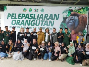 6 Orang Utan Dilepasliarkan di Hutan Kehje Sewen Kaltim