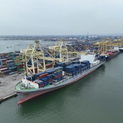 Pelindo Petikemas Catat Arus Kontainer Tumbuh 6,57% di Kuartal I-2025