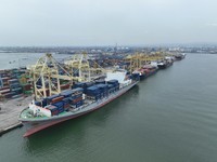 Pelindo Petikemas Catat Arus Kontainer Tumbuh 6,57% di Kuartal I-2025
