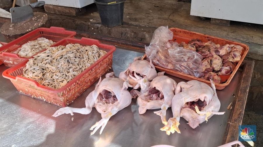 Pemantauan Harga Daging Ayam di Pasar Kemiri Muka, Depok, Kamis (23/4/2025). (CNBC Indonesia/Chanda)