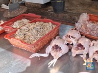 Harga Ayam di Peternak Cuma Rp19.000, di Pasar Dijual Segini