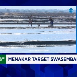 Video: Prabowo Mau Swasembada Garam 2027, Yakin Produksi Lokal Cukup?