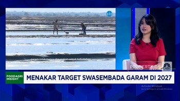 Video: Prabowo Mau Swasembada Garam 2027, Yakin Produksi Lokal Cukup?