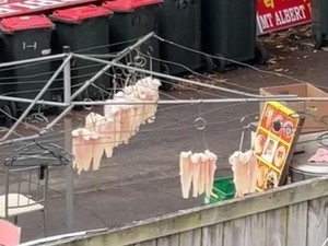 Heboh Restoran Dituduh Jorok Gegara Jemur Ikan di Luar Ruangan
