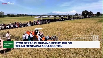 Video: Mentan Klaim Stok Beras Cetak Rekor Tertinggi 20 Tahun