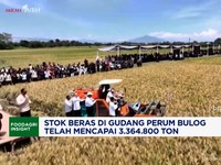 Video: Mentan Klaim Stok Beras Cetak Rekor Tertinggi 20 Tahun