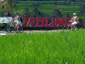 Pengelola Kembali Promosikan Wisata Jatiluwih Usai Petani Cabut Seng