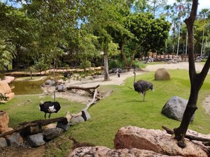 Sistem Nontunai di Taman Rekreasi Pulau Dewata