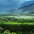 10 Provinsi dengan Hutan Lindung Terluas di indonesia, Ada Jakarta?