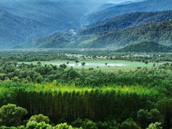 10 Provinsi dengan Hutan Lindung Terluas di indonesia, Ada Jakarta?