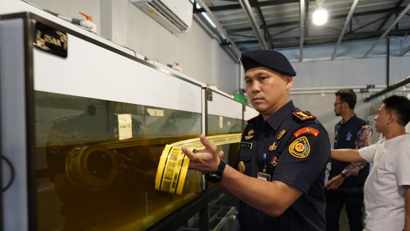 Kementerian Kelautan dan Perikanan (KKP) menyegel usaha jual beli ikan arwana super red (Scleropages Formosus) tanpa izin di Pontianak Kalimantan Barat. Humas Ditjen PSDKP KKP