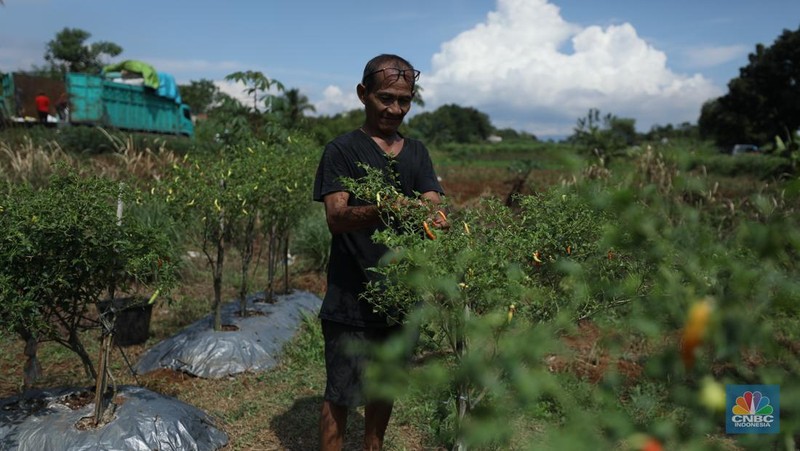 Pengendara melewati jalan Bojonggede-Kemang (Bomang) yang belum selesai pengerjaannya di kawasan Tajur Halang, Kabupaten Bogor, Jawa Barat, Jumat (25/4/2025). (CNBC Indonesia/Tri Susilo)