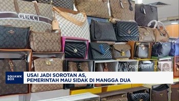 Video: Usai Jadi Sorotan AS, Pemerintah Mau Sidak di Mangga Dua