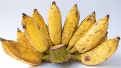 7 Pisang Terbaik Dunia, Ada dari Indonesia