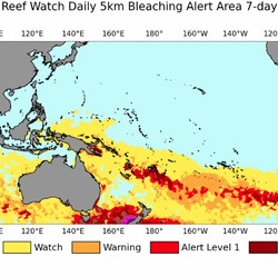 Malapetaka Dimulai! Kuburan Bermunculan di Laut-Termasuk di Raja Ampat