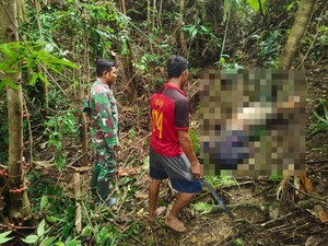 Guru SMP Hilang Misterius di Buton Utara Ditemukan Tewas Dalam Hutan