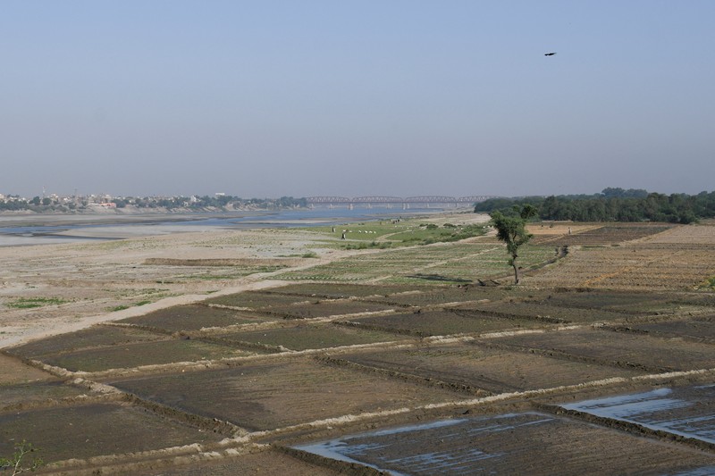 Kekeringan melanda sungai Indus di Hyderabad, Pakistan, Jumat (25/4/20225). (REUTERS/Yasir Rajput) Kekeringan melanda sungai Indus di Hyderabad, Pakistan, Jumat (25/4/20225). (REUTERS/Yasir Rajput)