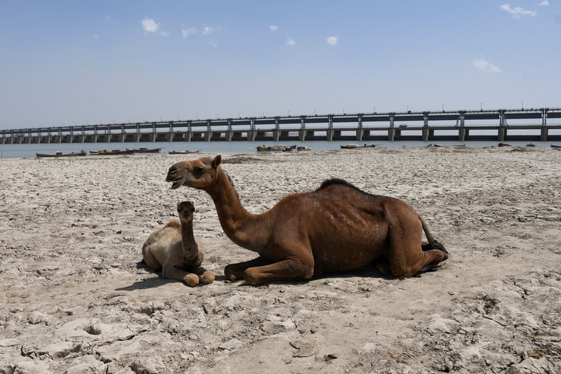 Kekeringan melanda sungai Indus di Hyderabad, Pakistan, Jumat (25/4/20225). (REUTERS/Yasir Rajput)